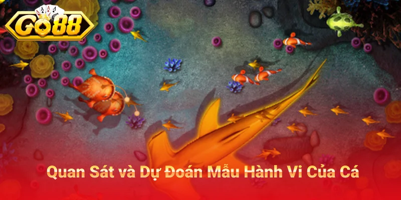 Quan Sát và Dự Đoán Mẫu Hành Vi Của Cá