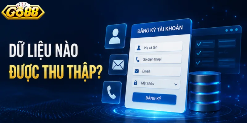 Những thông tin được thu thập