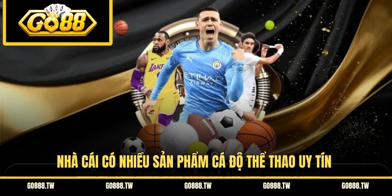 Nhà cái có nhiều sản phẩm cá độ thể thao uy tín