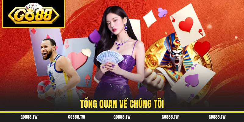 Tổng quan về chúng tôi